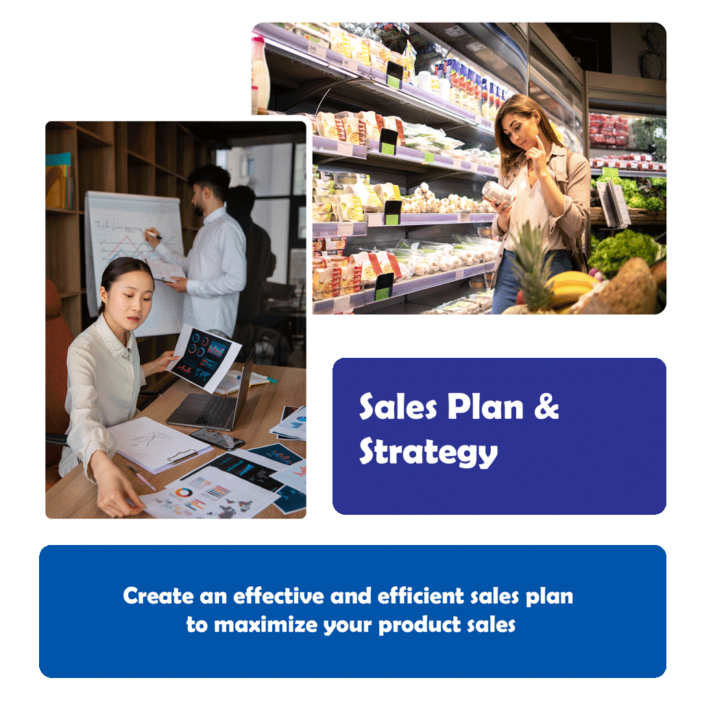 Sales Plan and Strategy